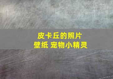 皮卡丘的照片 壁纸 宠物小精灵